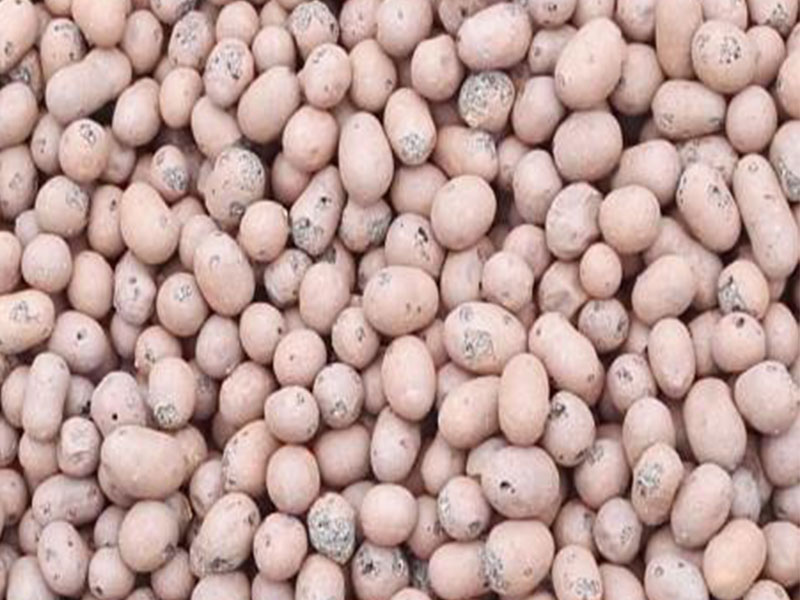 生物陶粒滤料